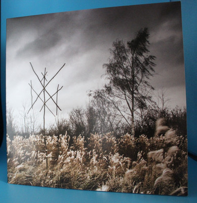 Wiegedood   De Doden Hebben Het Goed LP Vinyl Farbig Transparent