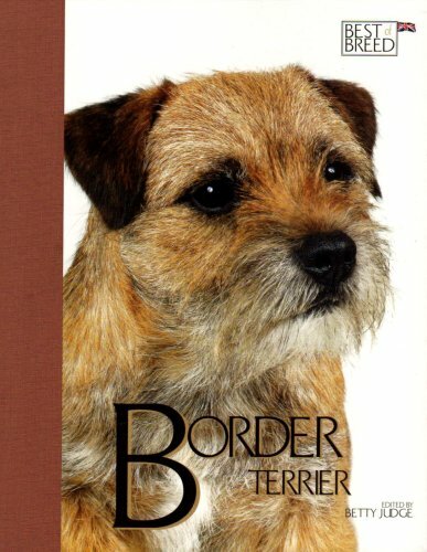 Border Terrier - Best of Breed-Betty Judge - Picture 1 of 1