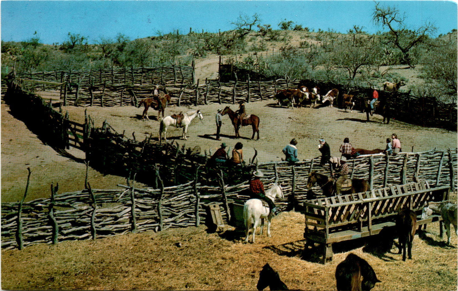Boston, Massachusetts, Tichnor Bros., Inc., Lusterchrome, vibrant color postcard