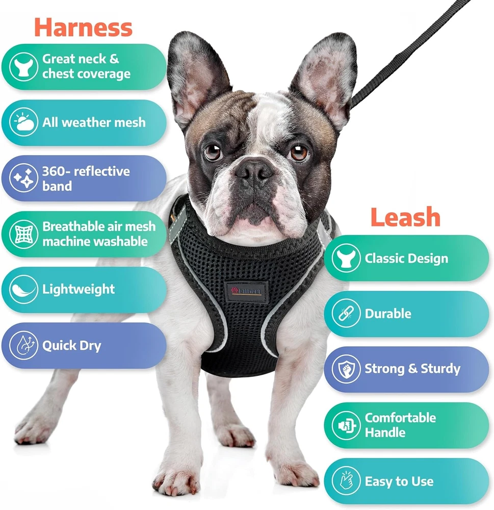 Dog Harness and Leash Set, 3/4 inch X 4.6ft Strong and Durable Leash, Large