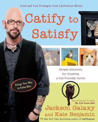 Catify to Satisfy | Simple Solutions for Creating a Cat-Friendly Home | Jackson 