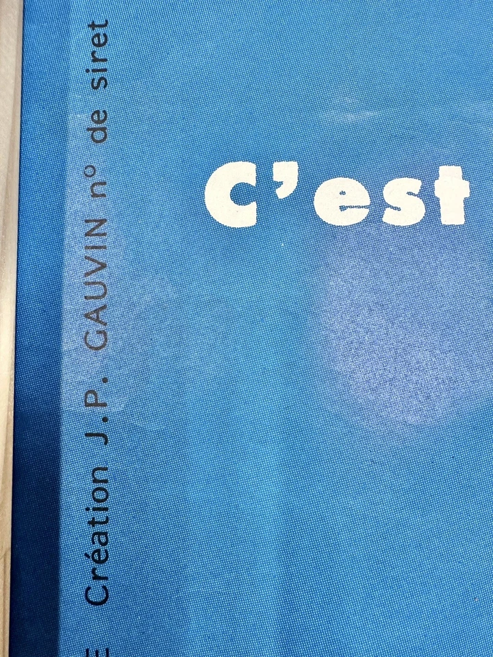 ENORME póster de viaje de colección barco francés transatlántico tenis bosque colina diseño artístico Foto 4 de 4