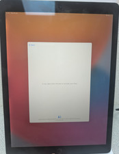 Apple iPad Pro 2nd Gen. 256GB, Wi-Fi, 12.9 in - Space Grey