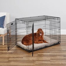 MidWest Homes for Pets 1542DDU Double Door iCrate Metal Dog Crate, 42"