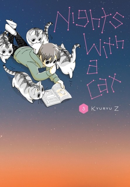 Nights with a Cat, Vol. 3 by Kyuryu Z (Paperback Book)