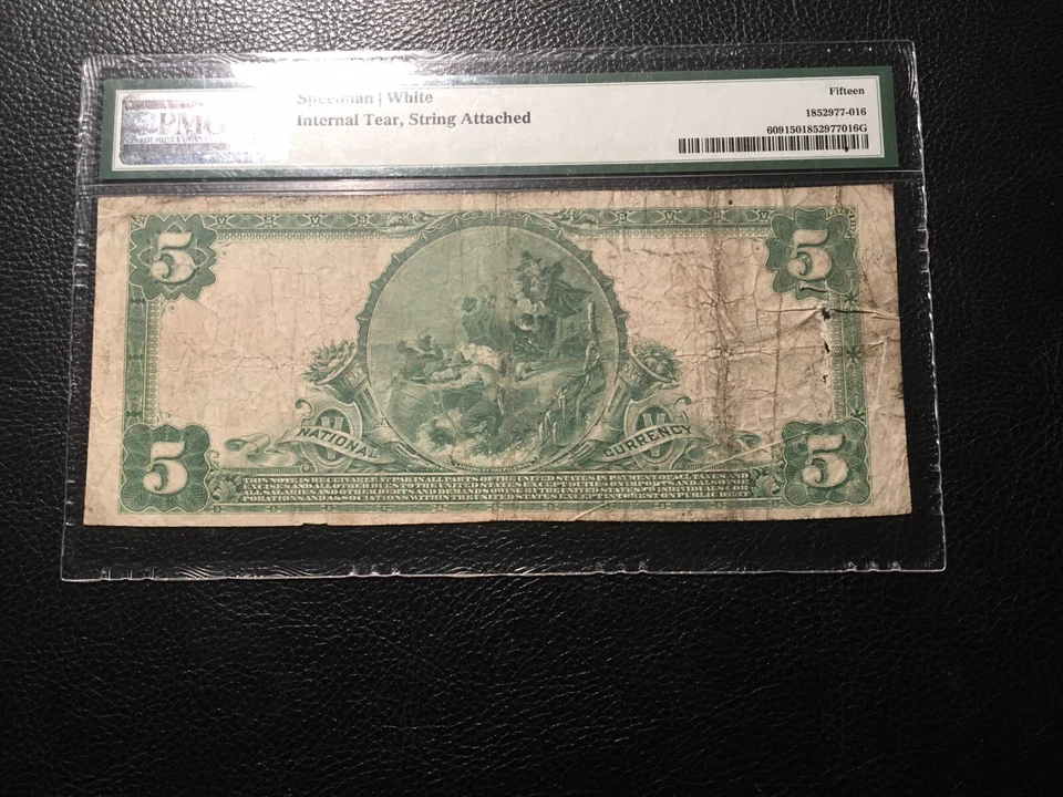 National bank note BrownsvillePA PMG15 fine damage internal tear - Image 4 of 4