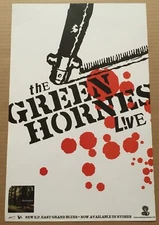 GREENHORNES Rare 2005 DOUBLE SIDED PROMO POSTER for East CD 11x17 NEVER DISPLAY