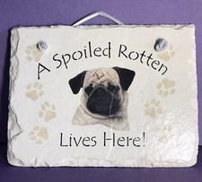 Pug Slate Sign A Spoiled Rotten Pug Lives Here Slate Wall Decor Pet Plaque Gifts