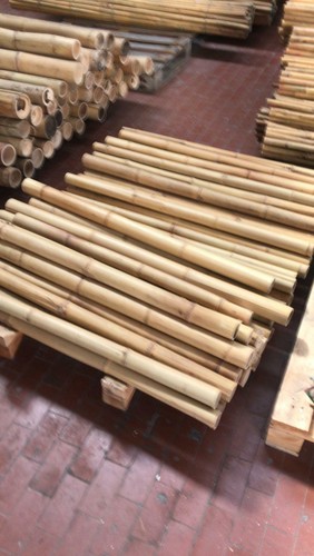 Canne di Bamboo Gigante - 100 - 150 - 200 - 300 cm - Bambù - SECONDA SCELTA - Foto 4 di 11