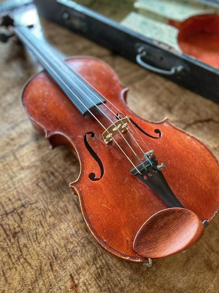 Compagnon violin cheap