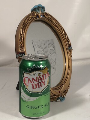 Canada Dry Ginger Ale Soda, 20 Fl Oz Bottle Same-Day Delivery Or Pickup | 'n Save