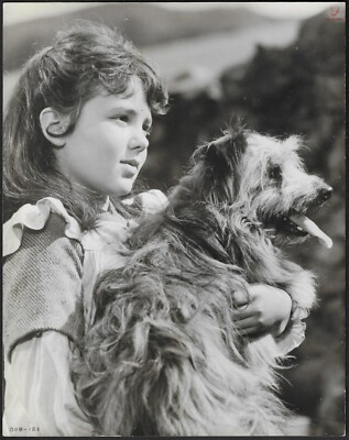 Disney Greyfriars Bobby 1961 Original Promo Photo Jennifer