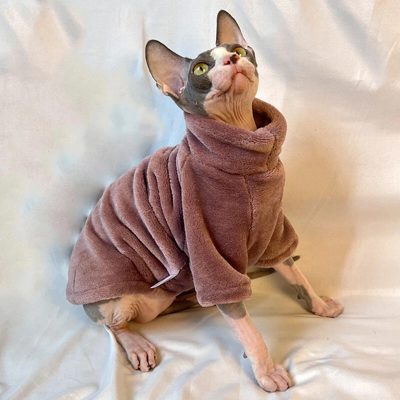 Designer Cat Sweater  LV Sweater for Sphynx, Designer Sweater