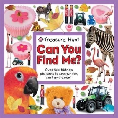 Treasure Hunt Can You Find Me? (Seek and Find Book) - Hardcover - ACCEPTABLE