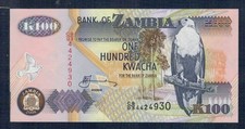 ZAMBIA - 100 KWACHA 2008 - FIOR DI STAMPA - GIAN8