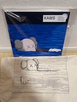 KAWS x UNIQLO Edition Art Book By Phaidon w/Tote Bag Japan | eBay