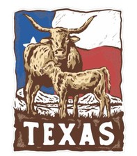 Texas Sticker Decal A484