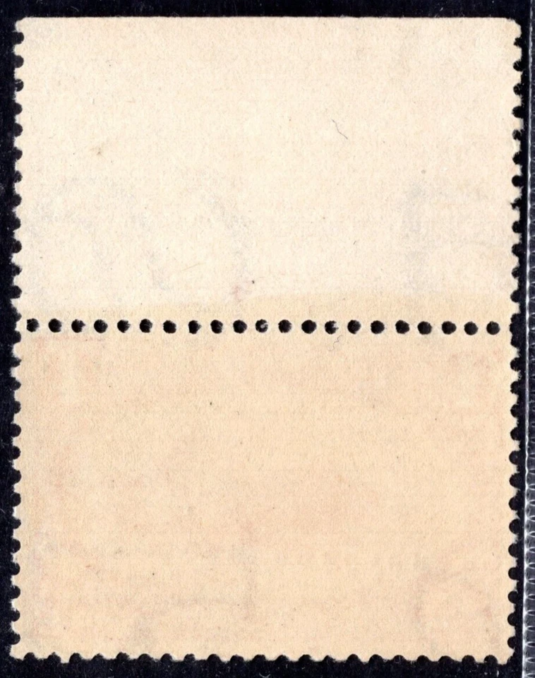 US 1898 SCOTT #287 MINT NEVER HINGED WITH PLATE # - Image 2 of 2