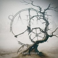 Sarke - Endo Feight Lp Release Date 07/07/24 This Can Change! - Vi - F600Z