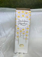 Shiseido Dendrobium Polyanthum 30ml EDP Spray (new with box)