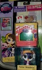Littlest Pet Shop Parker Waddleton Penguin #3823 New in Package
