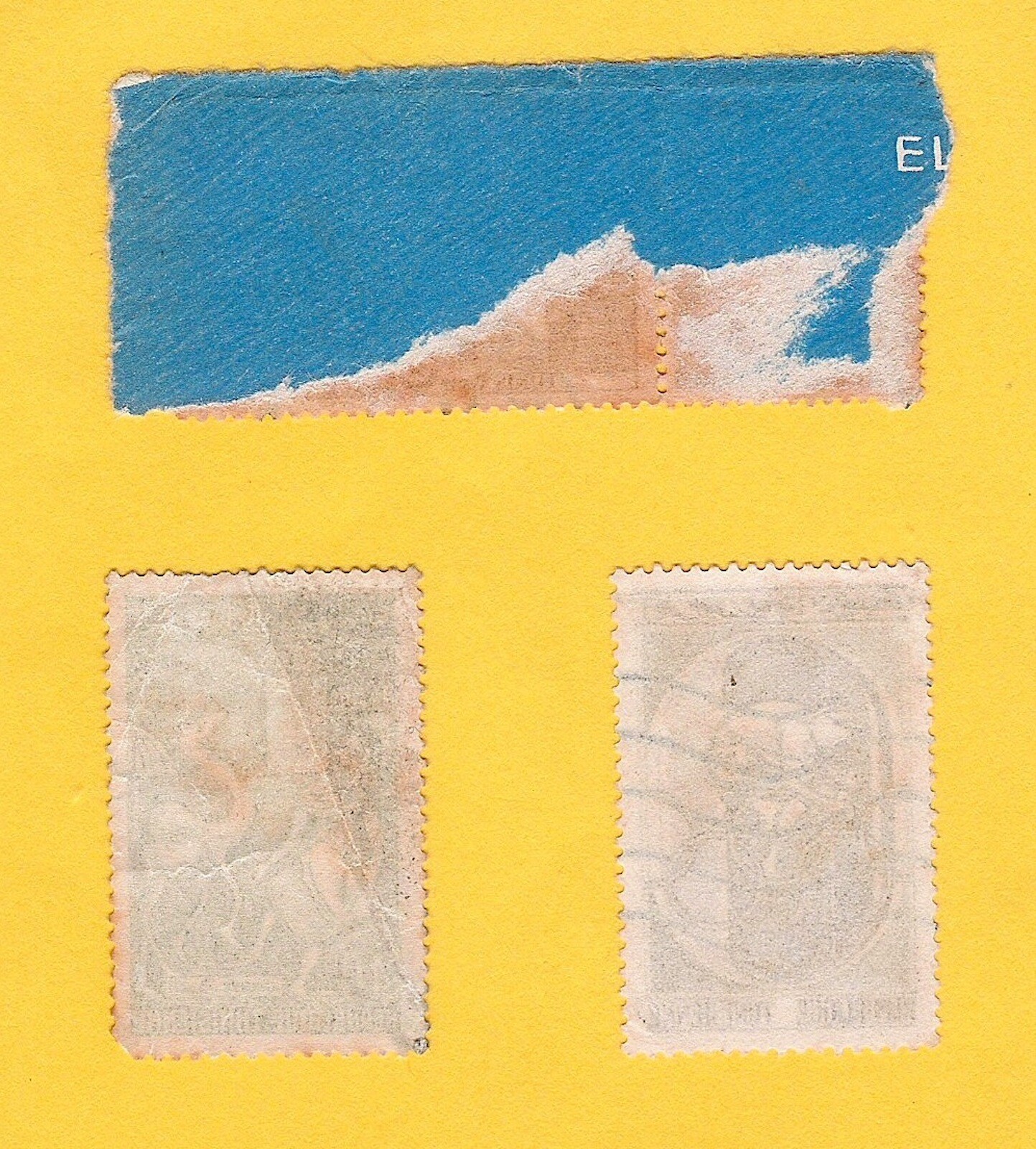 Foto 2 di 2