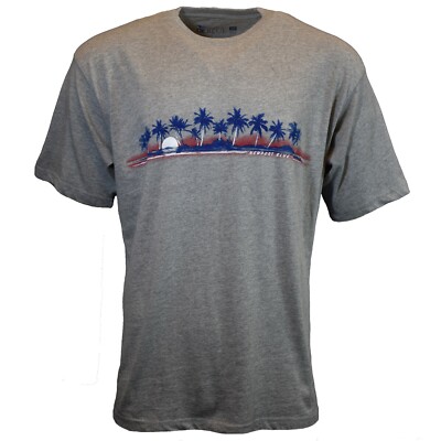 Hawaiian Surf Beach NEWPORT BLUE Mens T 