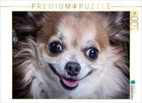 Calvendo Puzzle A Smiling Chihuahua | 1000 Pieces, Finished Size 25.2 × 18.9 In