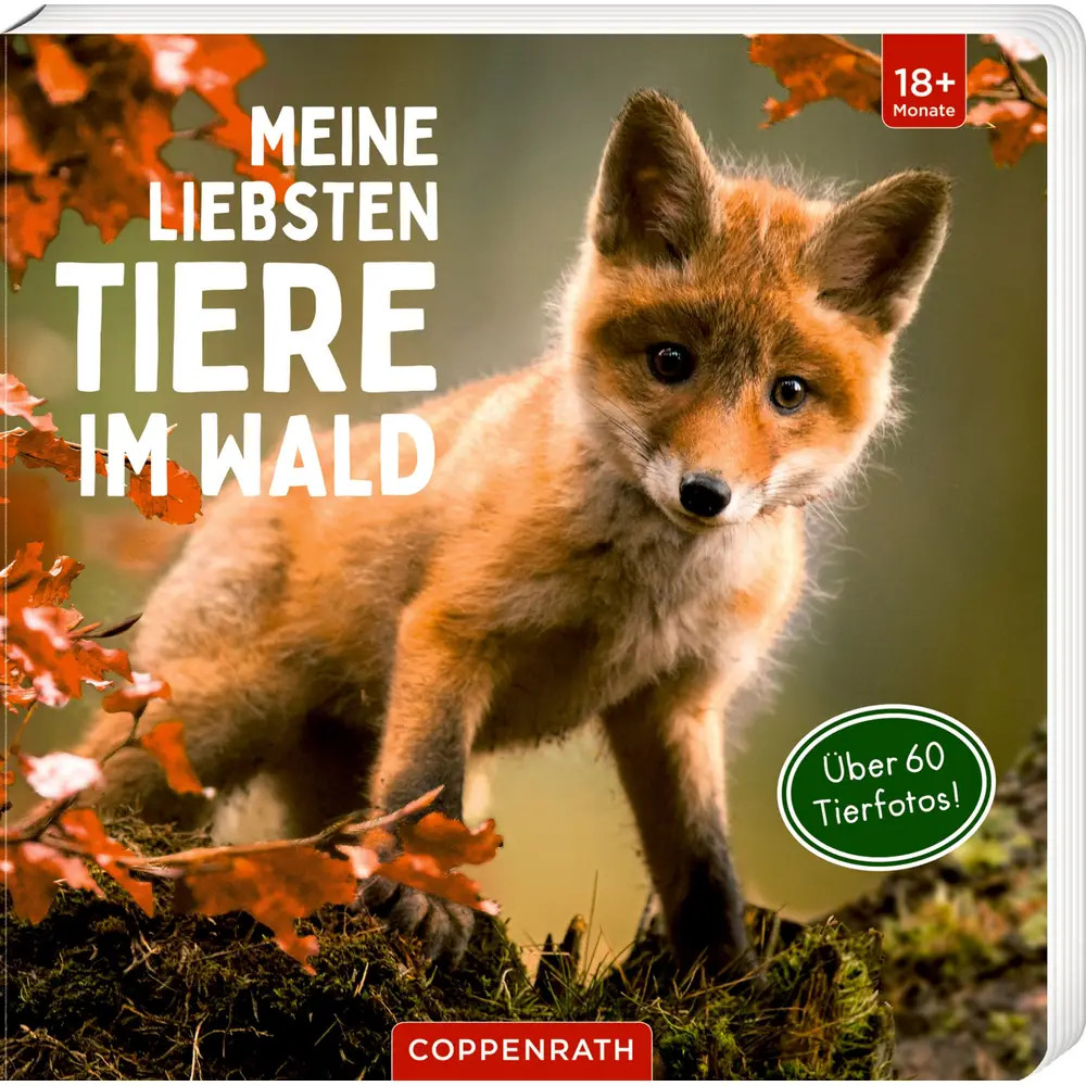 Meine liebsten Tiere im Wald - Bild 2