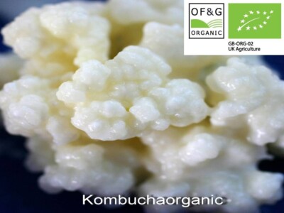 10g Zertifiziert von OF&G Bio Milch Kefir Körner Geprüft Pasteurisiert