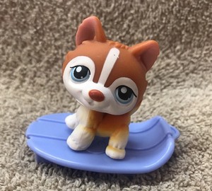Details About Littlest Pet Shop Husky 341 Brown Orange And White Blue Eyes Lps 100 Authentic