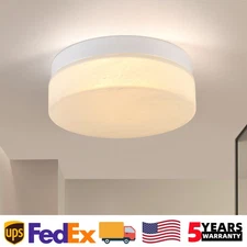 Modern 24W Ceiling Light 5CCT LED White Flush Mount Glass Shade Kitchen Fixture