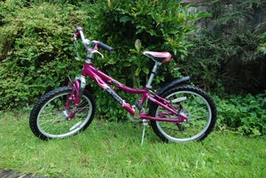 gary fisher cosmo 20 bike