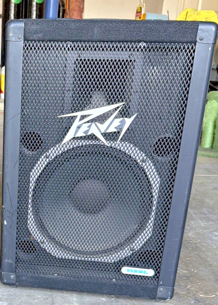 Peavey 112DL 2-way 12-inch Passive PA Speaker | eBay