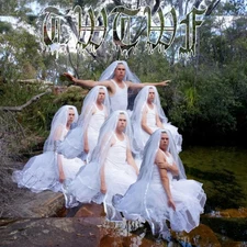 Titles With The Word Fountain by LIARS [VINYL]