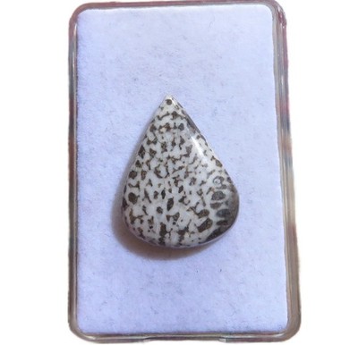 Stingray Coral Cabochon 24x18,5 mm 19 ct. Nr. U35006