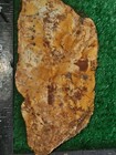 rough slab Brecciated Jasper 155g. 5/16" Thick Lapidary Cabbing #B-5 — photo 3