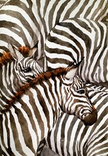 Zebras Abstract Original Watercolor Painting Nursery Animal Art Zoo Kids Room