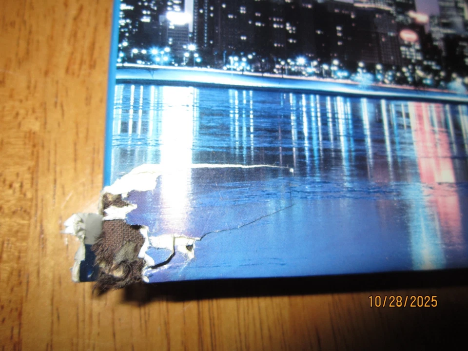 Skylines- American Cities Yesterday and Today: Beaux-Arts Editions - Image 2 of 4