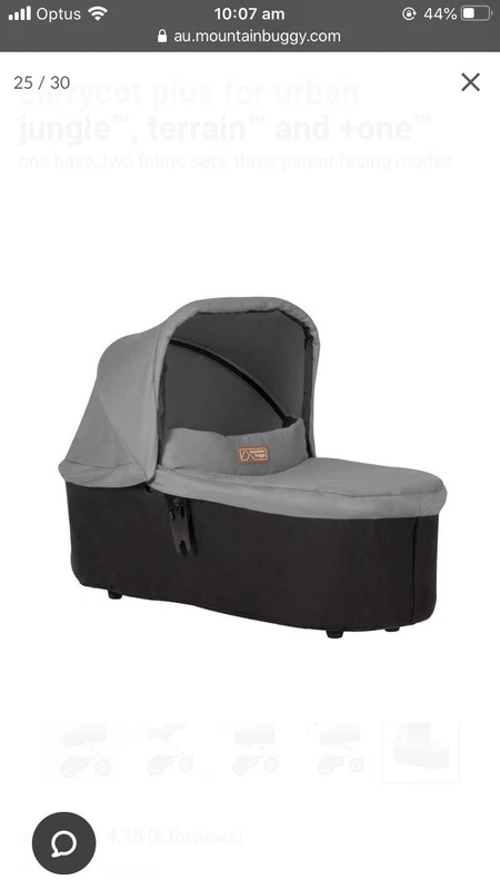 mountain buggy nano bassinet