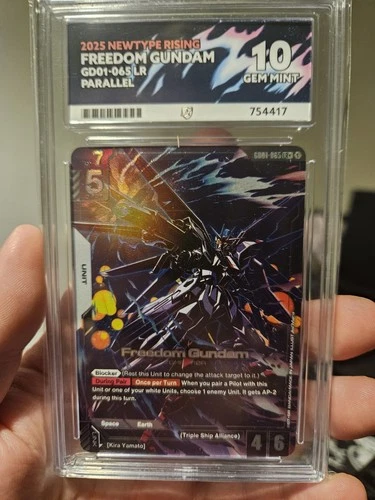 Freedom Gundam LR+ Newtype Rising ACE 10 (Perfect Subgrades And POP1)