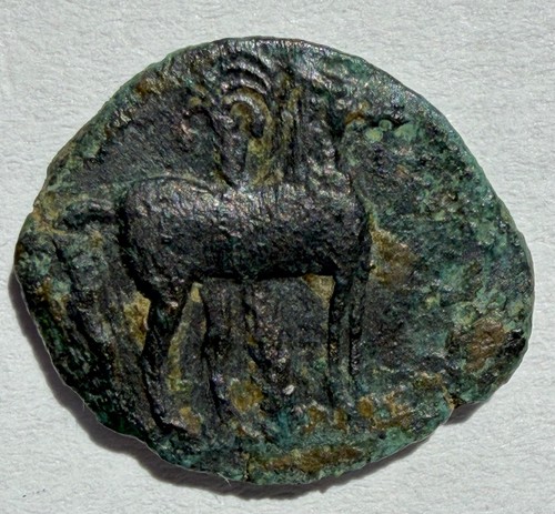 Carthage ae17.Head of Tanit left. Horse standing right palm behind 3rd centuryBC - Picture 2 of 2