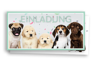 Friendly Fox Hunde Einladung, 12X Din Lang Welpen Einladungskarten Geburtstag