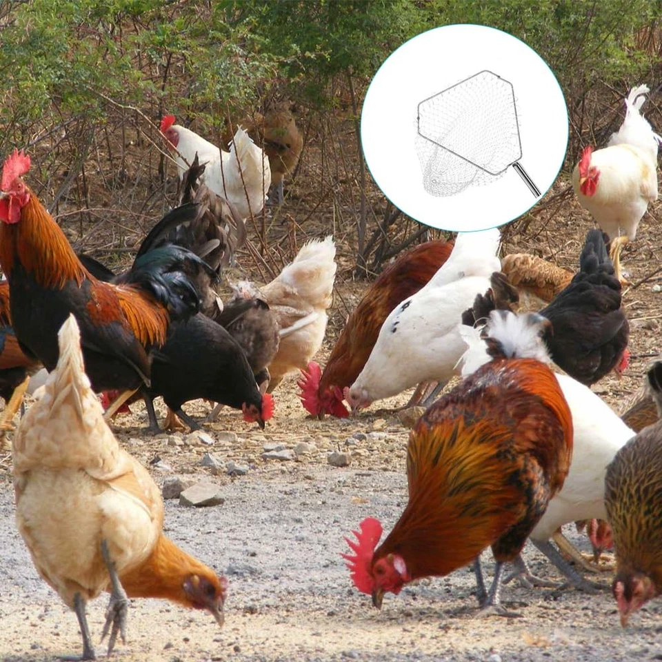 Gancio gamba regolabile da 90 a 180 cm - Con rete intercambiabile - Dispositivo - Immagine 4 di 4