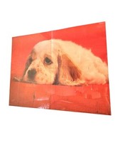 Vintage 1977 Sad Puppy Laying Poster XEROX Education #1799 Davis Delaney Arrow