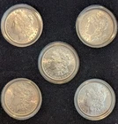 Morgan Silver Dollars  Mixed Lot  ~ 5 Different  Dates ~ AU ~  O & P ~