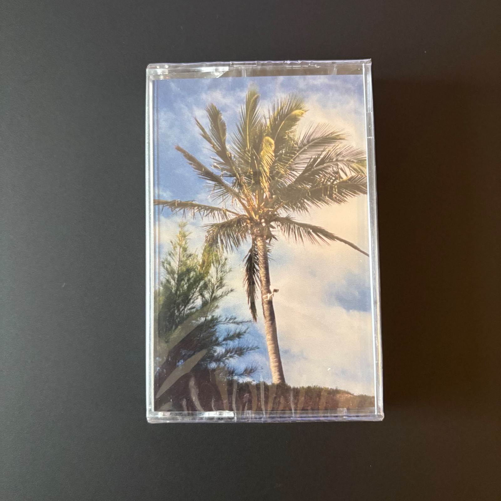 Haram Cassette (with The Alchemist)