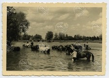 Foto Tarnoszyn Polonia Lublin marcha para Barbarroja río Huczwa caballos WH #2123