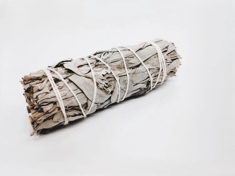 Salvia Bianca - Salvia Apiana da bruciare - 10 cm - Immagine 2 di 4