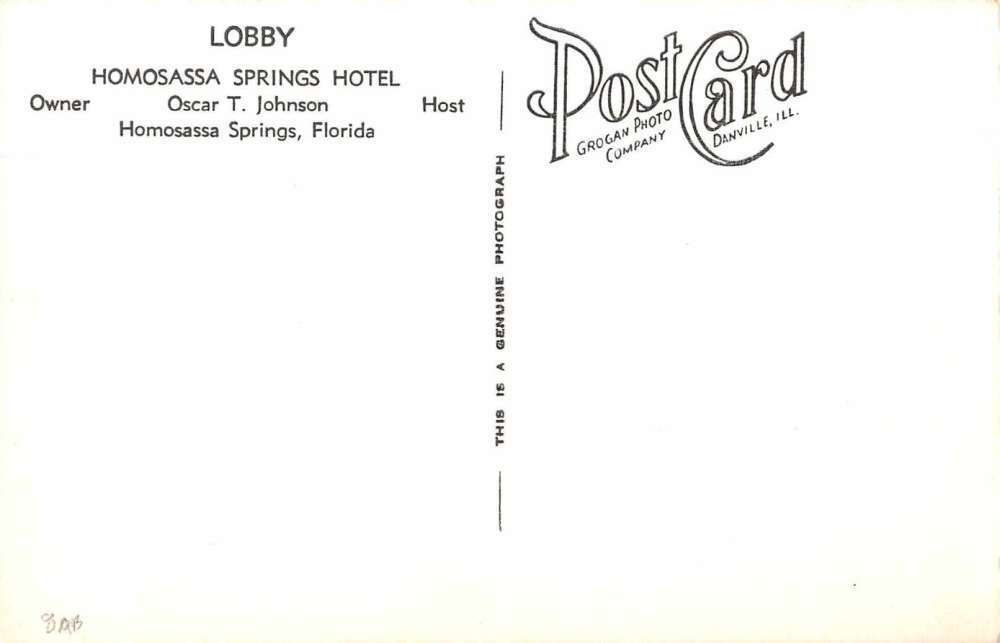 Homosassa Springs Florida lobby Homosassa Springs Hotel real photo pc